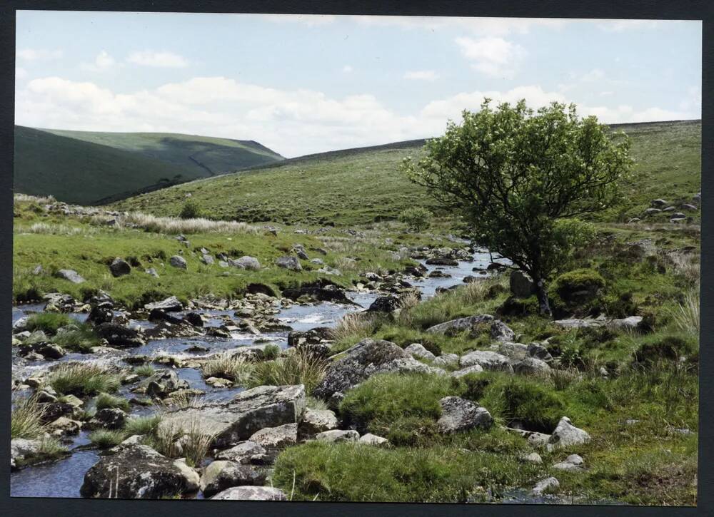 An image from the Dartmoor Trust Archive