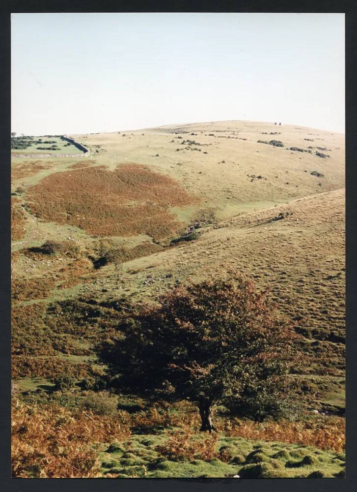 An image from the Dartmoor Trust Archive