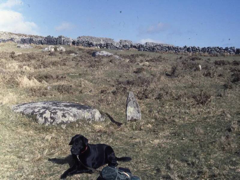 An image from the Dartmoor Trust Archive