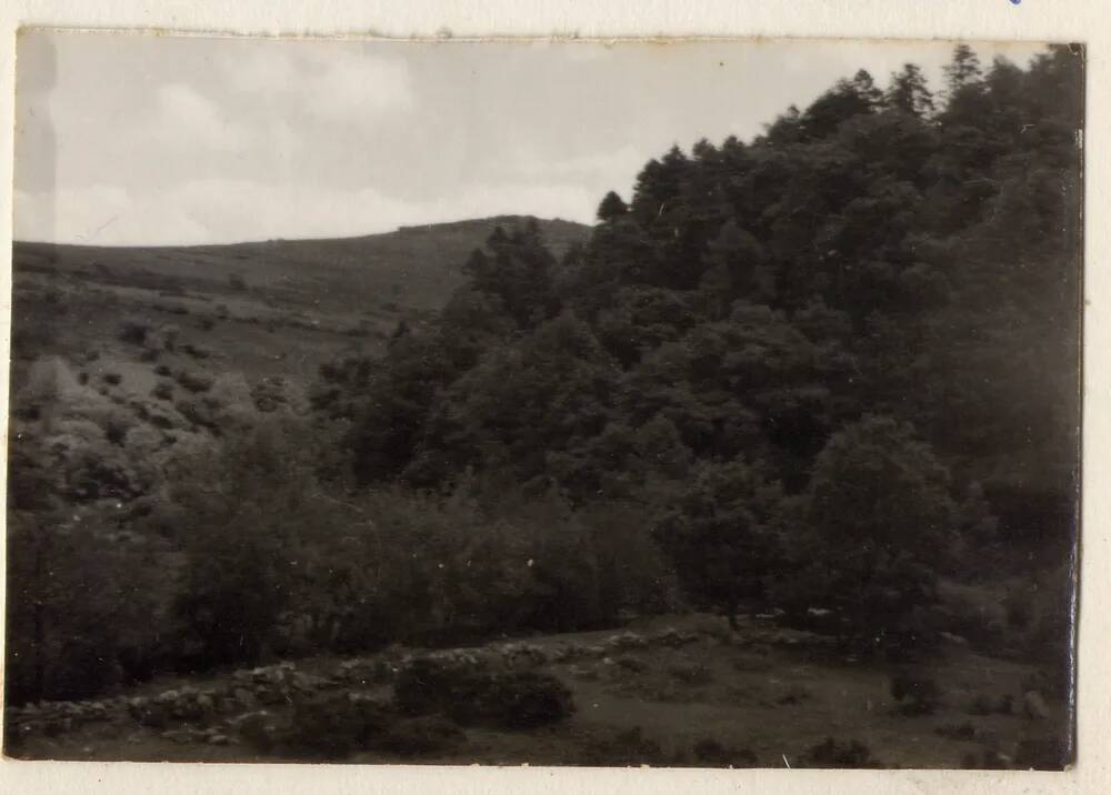 East Dart River at junction with the Walla Brook