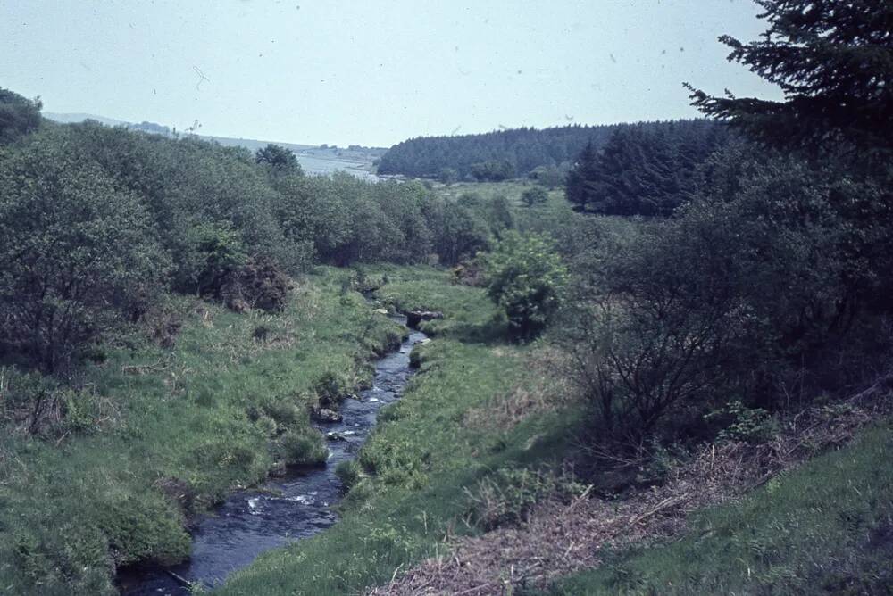 An image from the Dartmoor Trust Archive