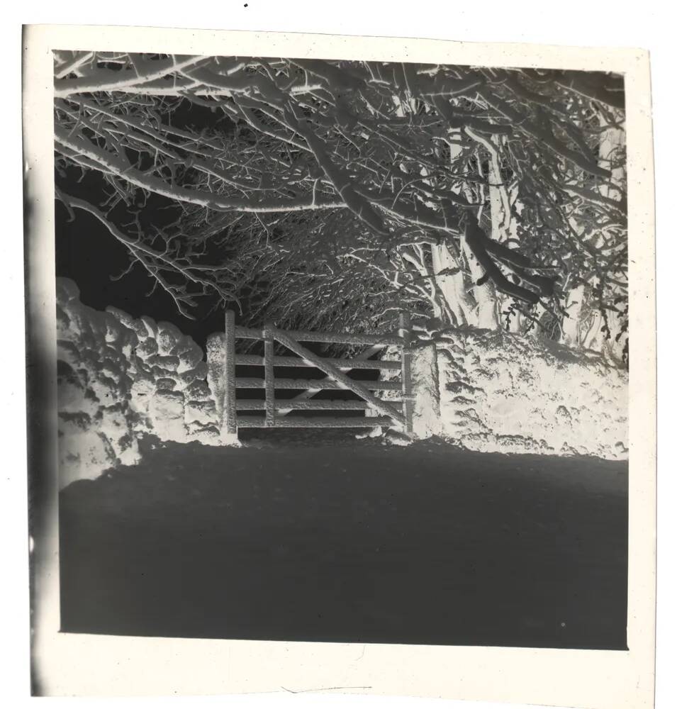 An image from the Dartmoor Trust Archive