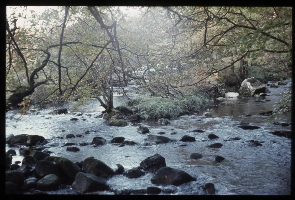 Confluence of Tavy and Bagator Brook