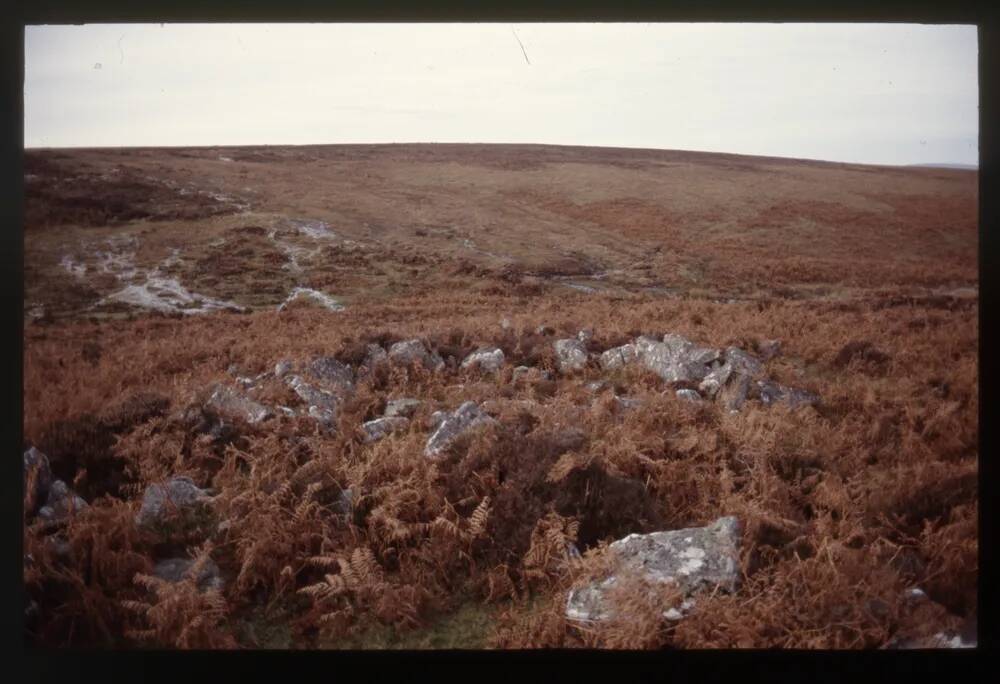 Hut Circle near East Bovey Head