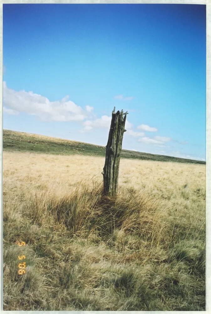 An image from the Dartmoor Trust Archive