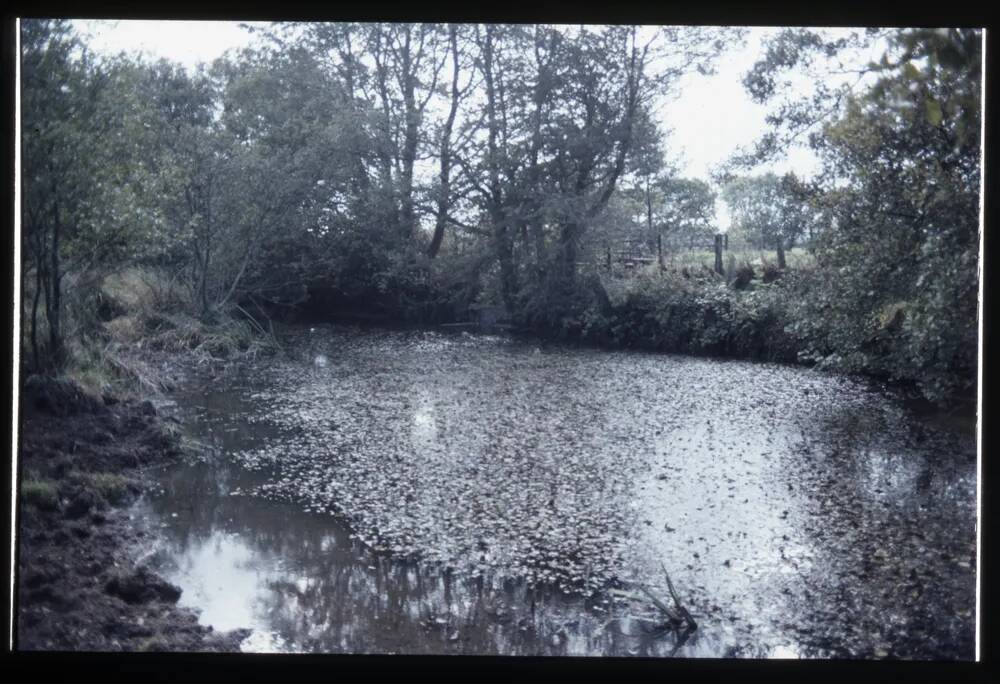 Stover canal - Fishlake feeder