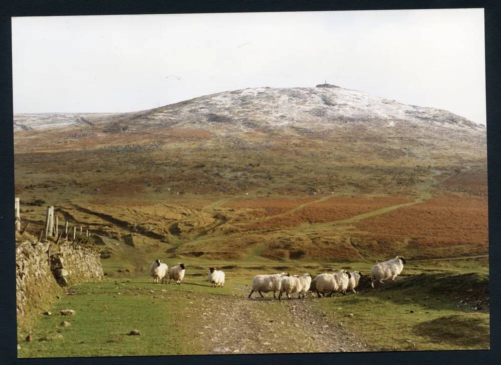 An image from the Dartmoor Trust Archive