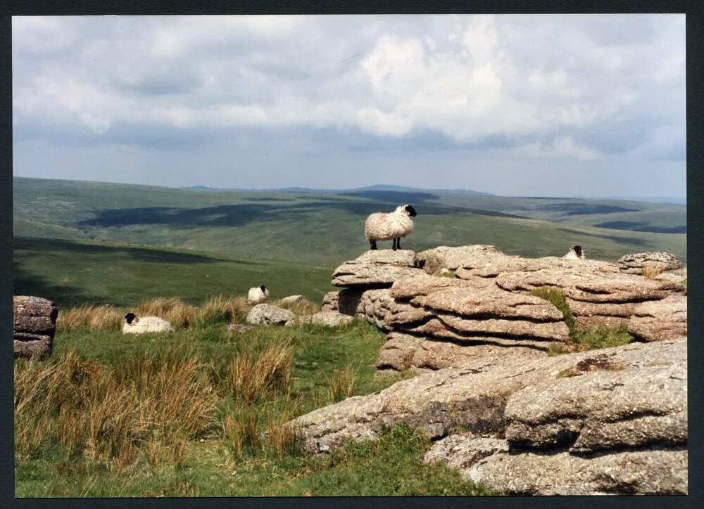 33/34 Wacka Tor NE to Bala Brook 20/6/1991