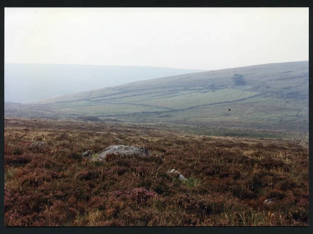 5/56 Above Wallabrook 11/9/1991