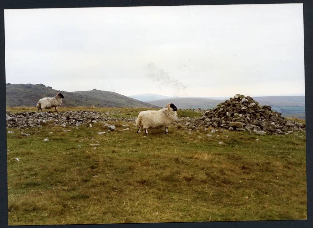 An image from the Dartmoor Trust Archive