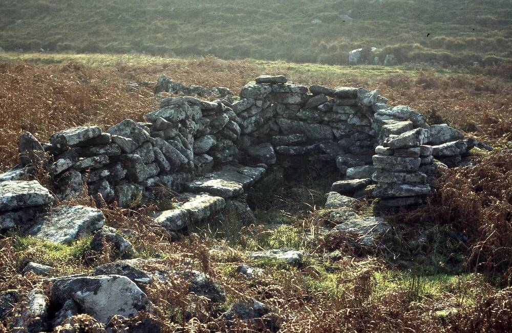 An image from the Dartmoor Trust Archive