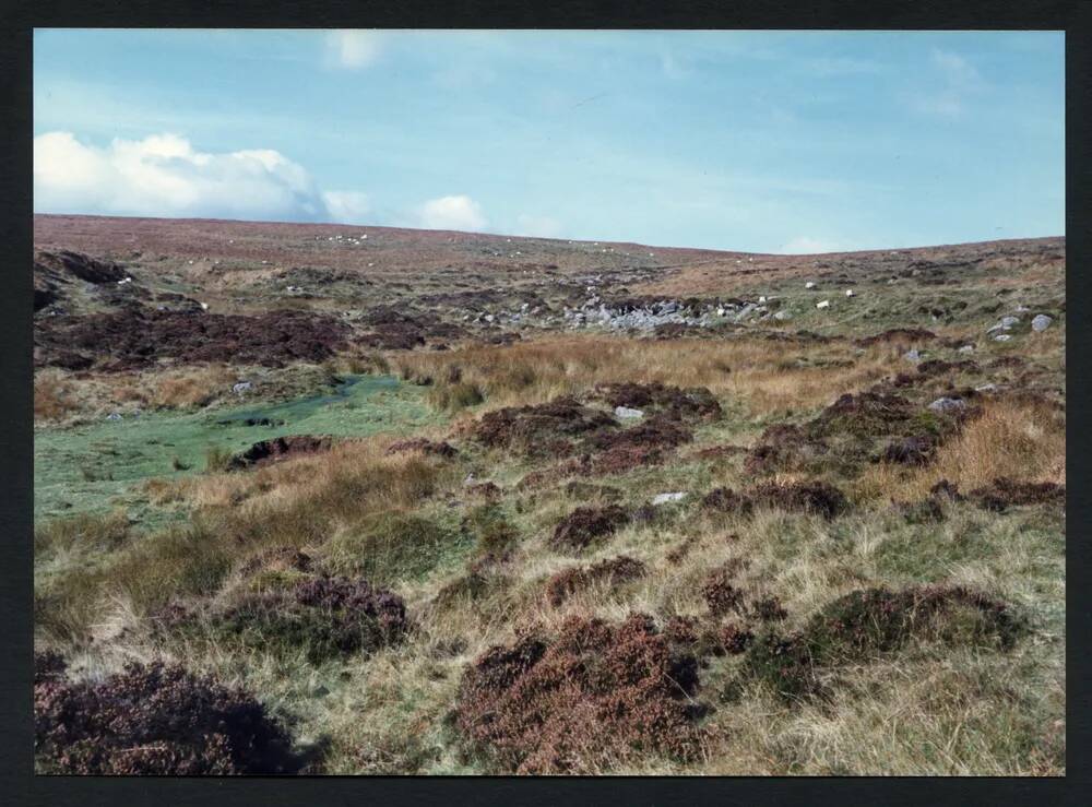 An image from the Dartmoor Trust Archive