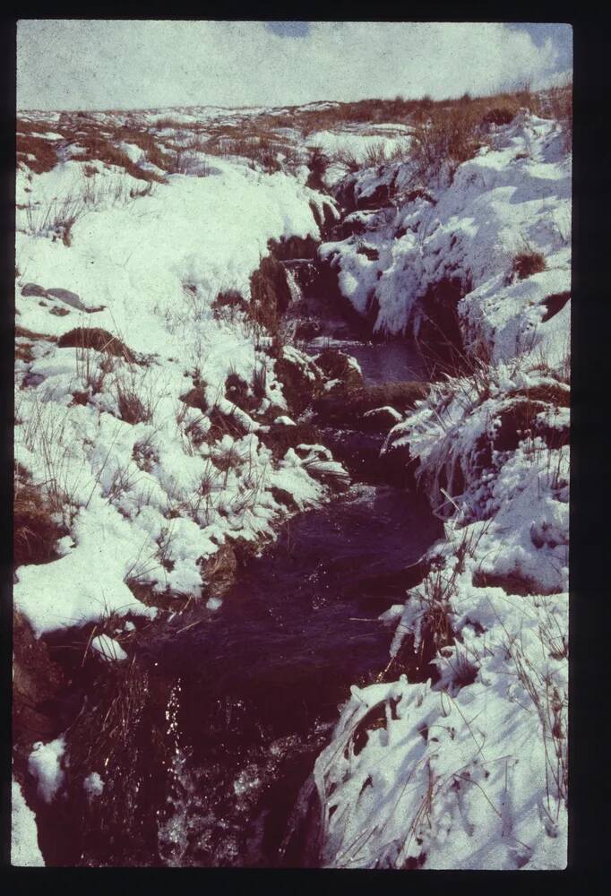 An image from the Dartmoor Trust Archive