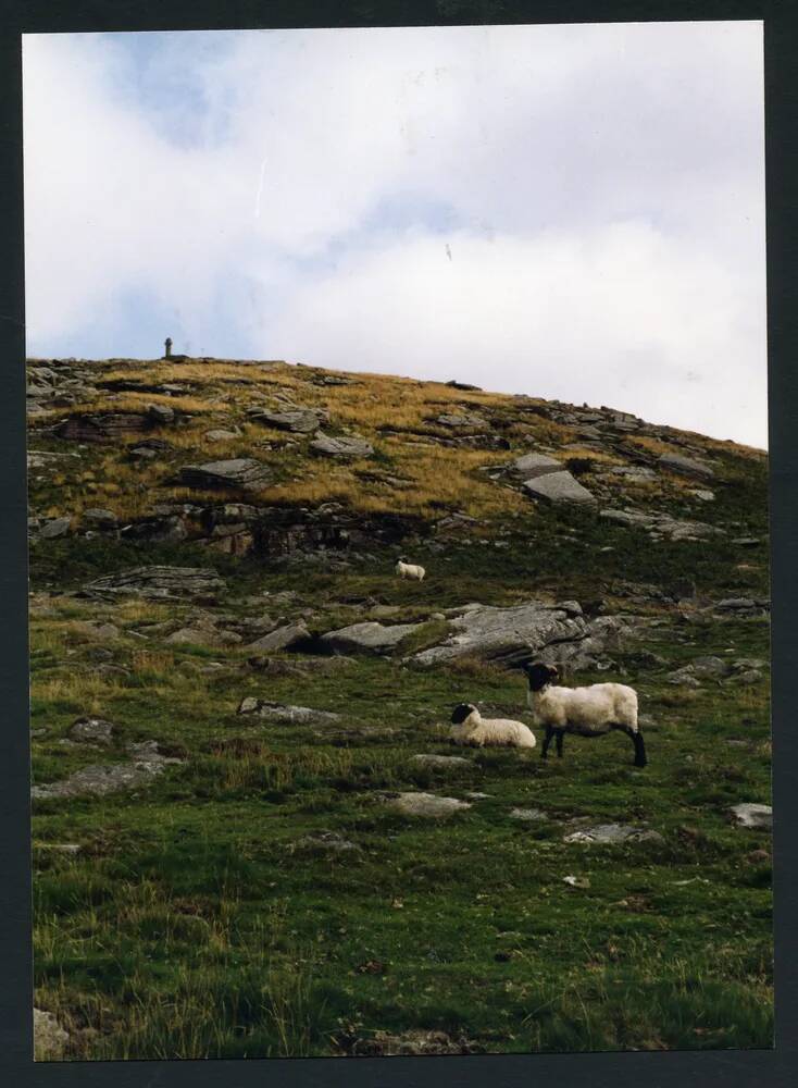 An image from the Dartmoor Trust Archive