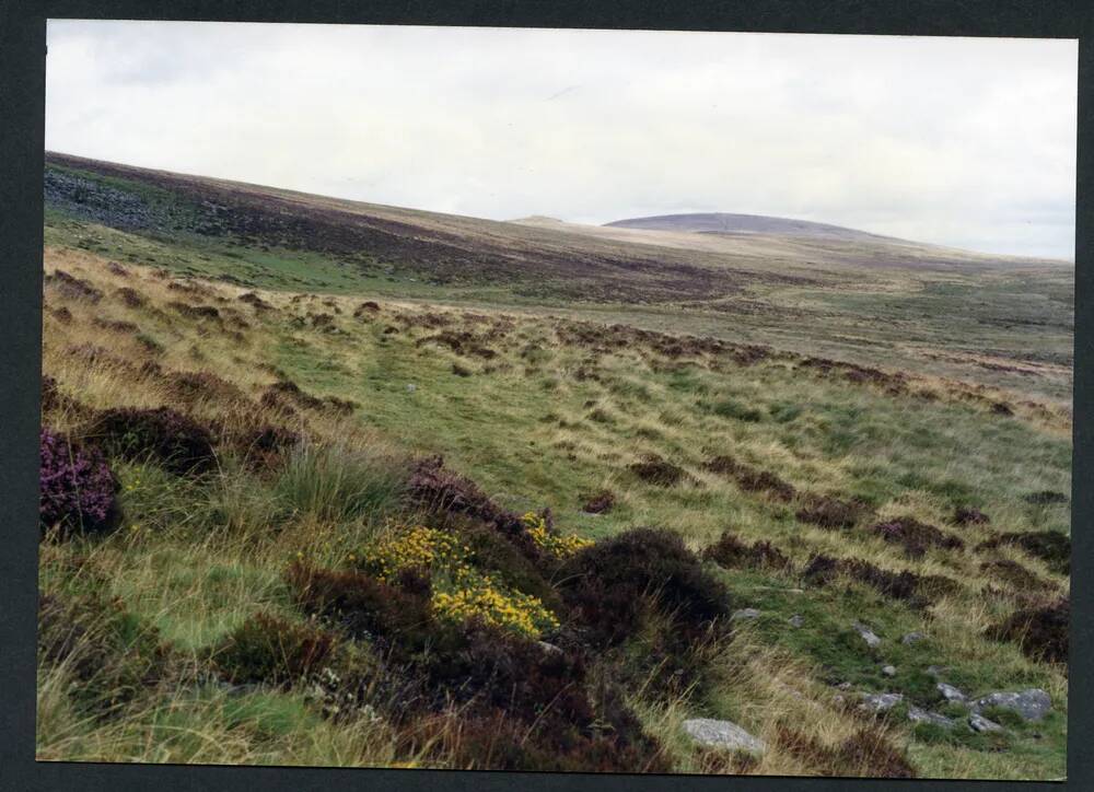 An image from the Dartmoor Trust Archive