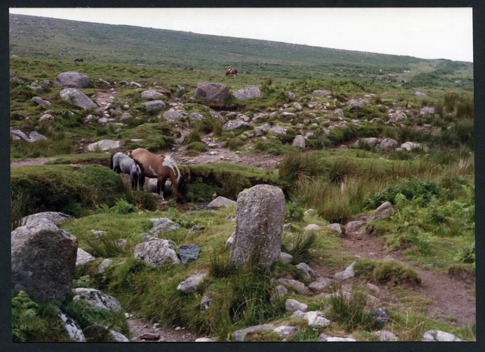 An image from the Dartmoor Trust Archive