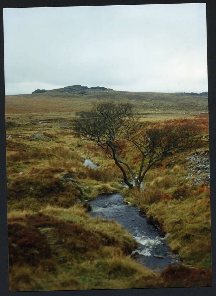 An image from the Dartmoor Trust Archive