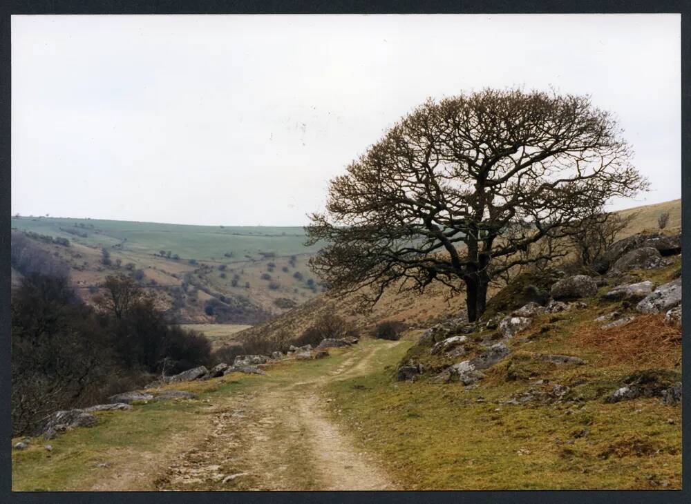 An image from the Dartmoor Trust Archive