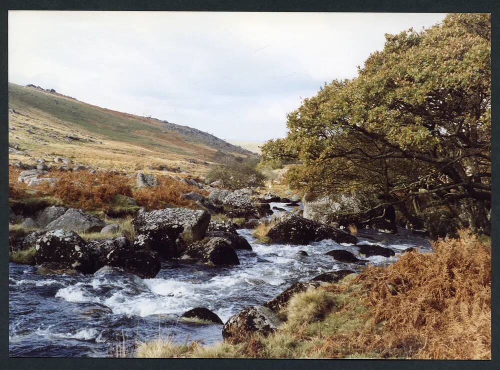 An image from the Dartmoor Trust Archive