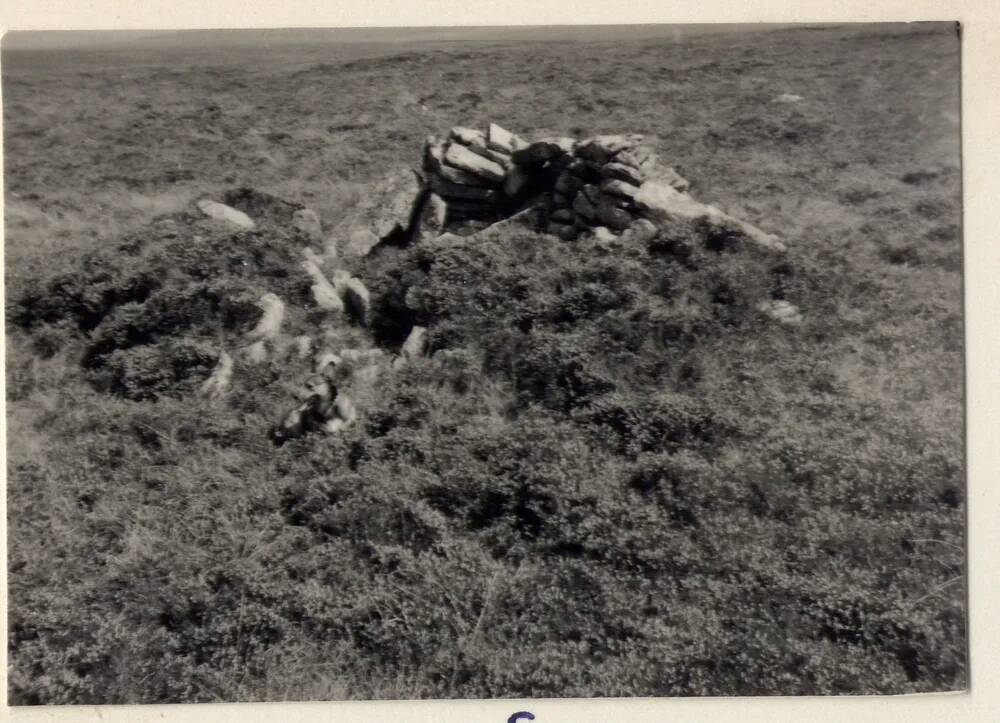 Remains of shelter on Whitehorse Hill