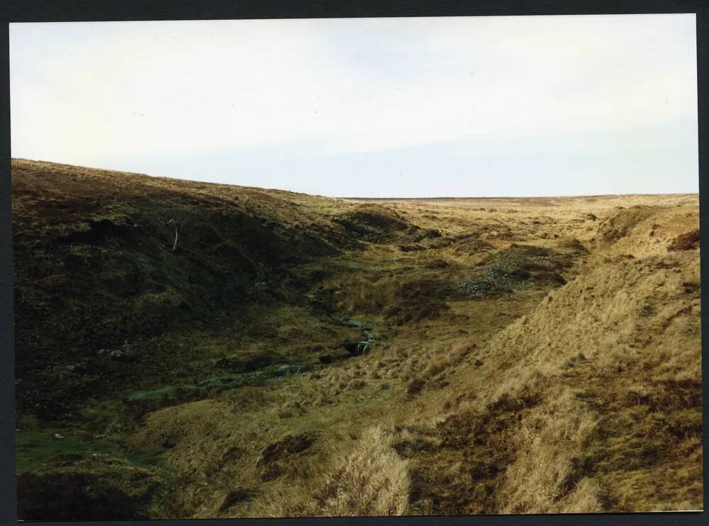 31/10 Middle Brook upstream 7/3/1991