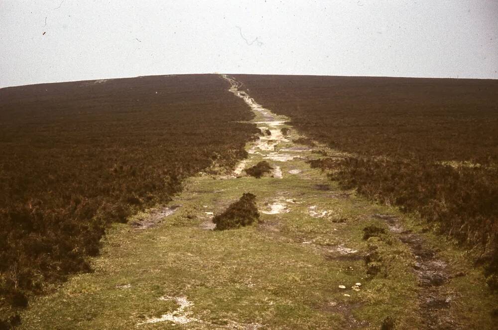 An image from the Dartmoor Trust Archive