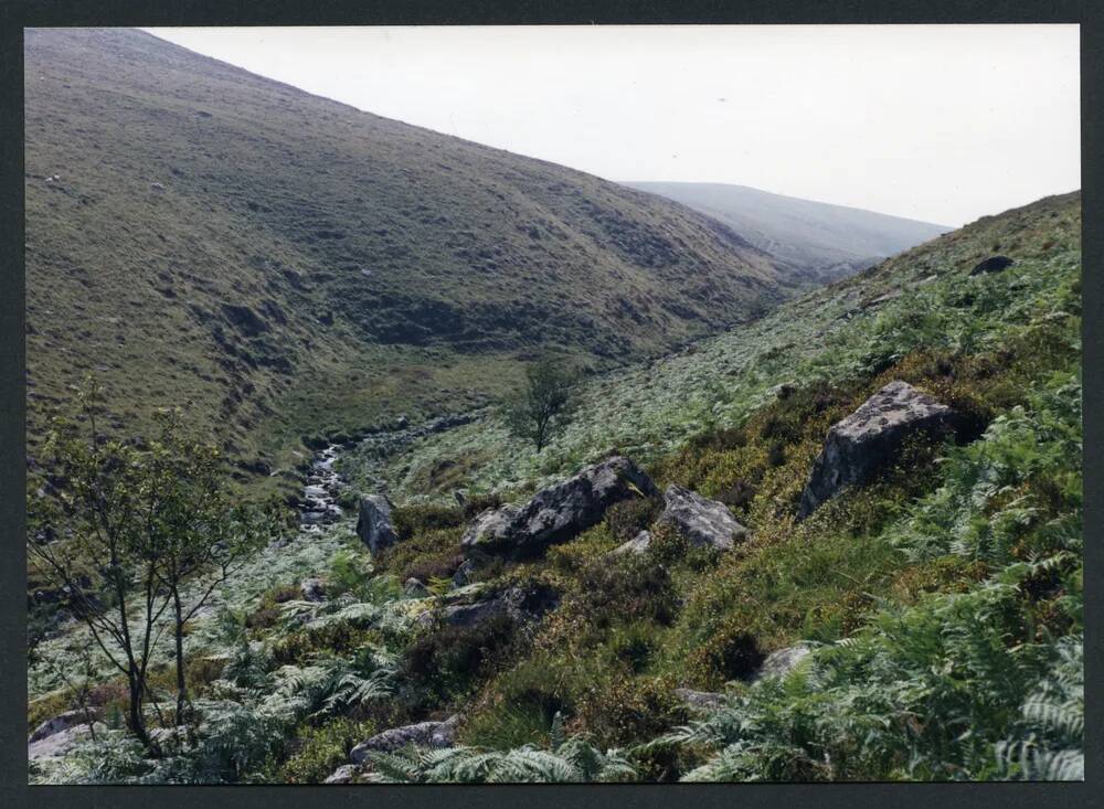 An image from the Dartmoor Trust Archive