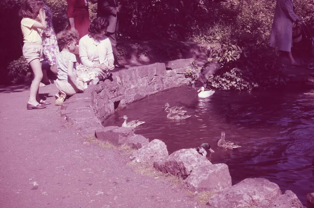 An image from the Dartmoor Trust Archive