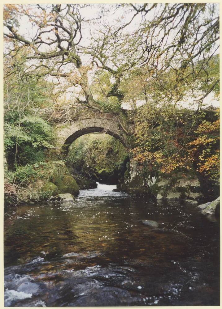 An image from the Dartmoor Trust Archive