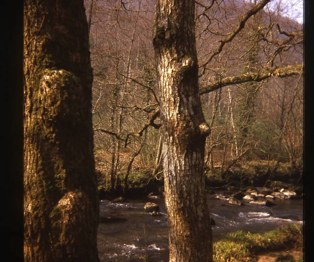 An image from the Dartmoor Trust Archive