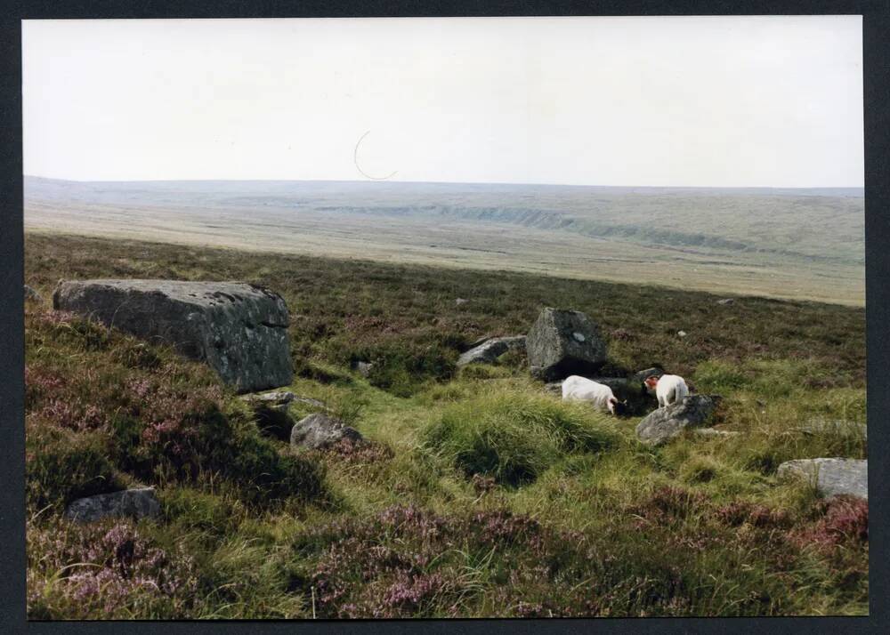 An image from the Dartmoor Trust Archive