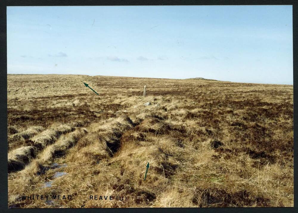 An image from the Dartmoor Trust Archive