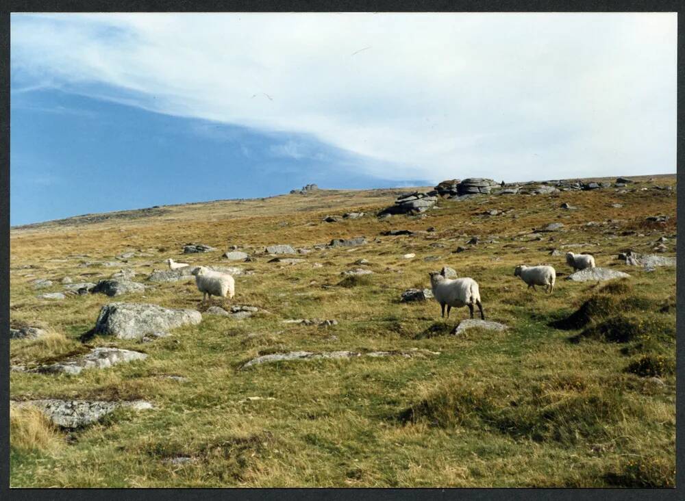 An image from the Dartmoor Trust Archive