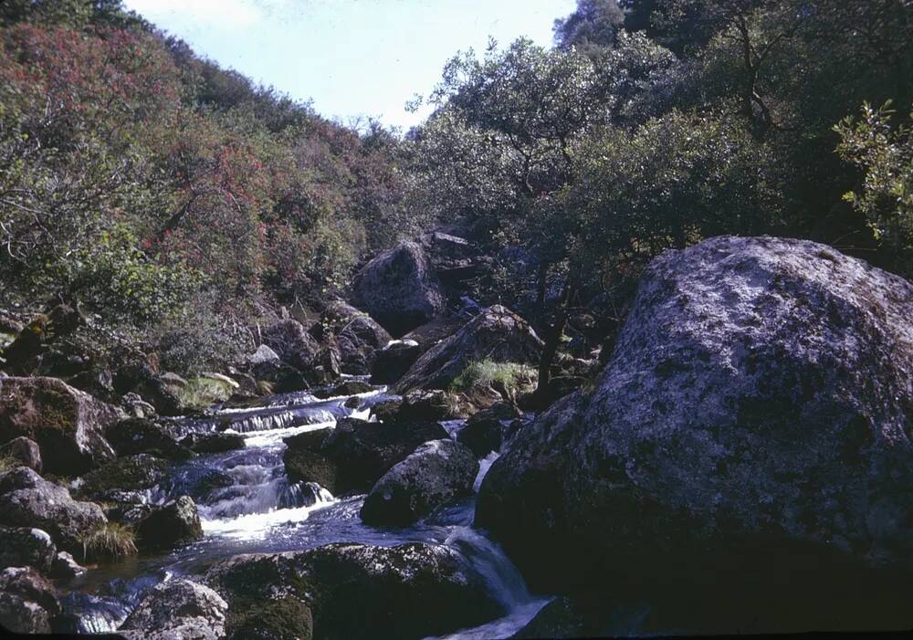 An image from the Dartmoor Trust Archive