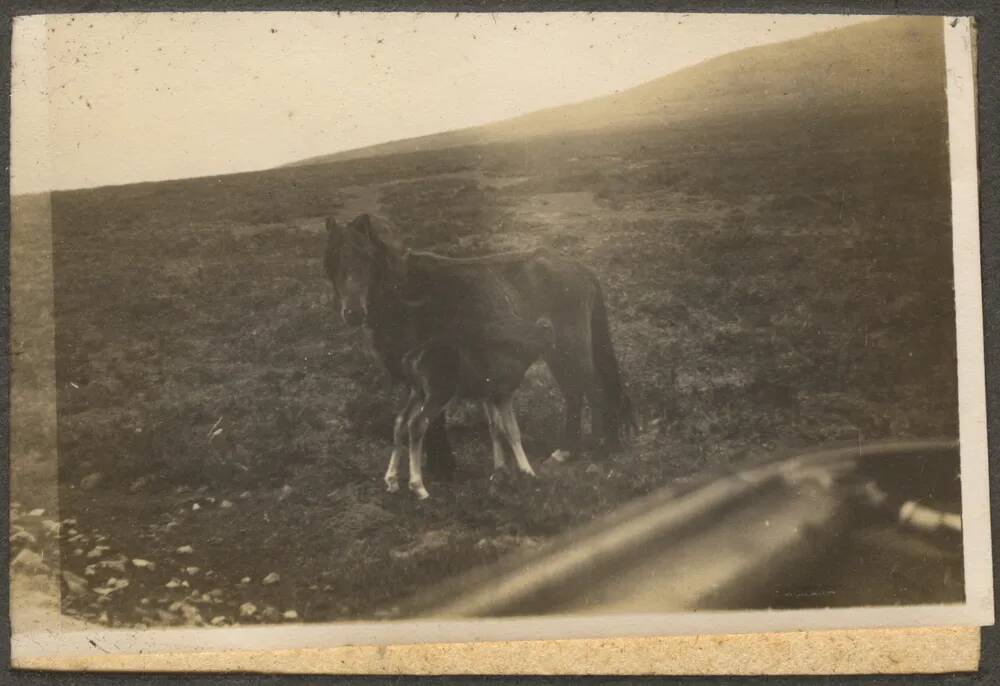 An image from the Dartmoor Trust Archive