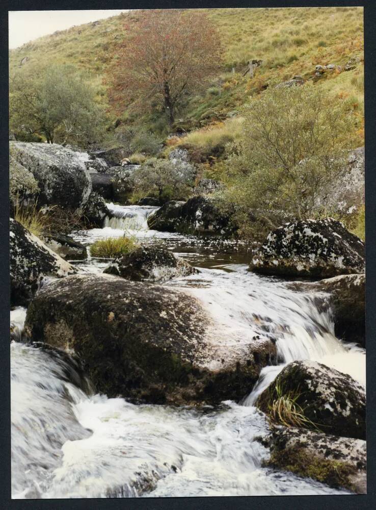 An image from the Dartmoor Trust Archive