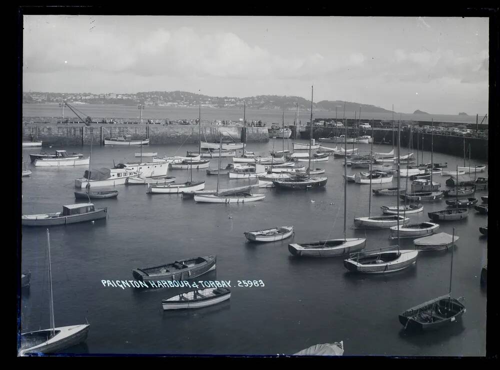 Harbour, Paignton