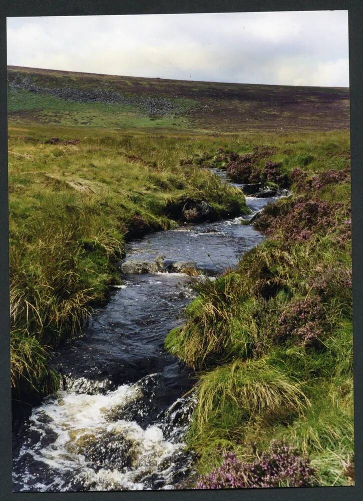 An image from the Dartmoor Trust Archive