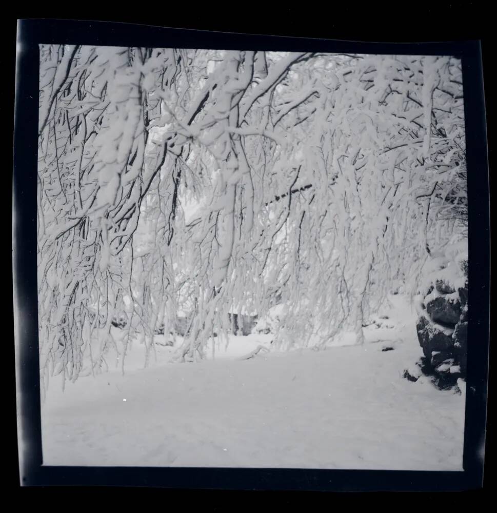 An image from the Dartmoor Trust Archive