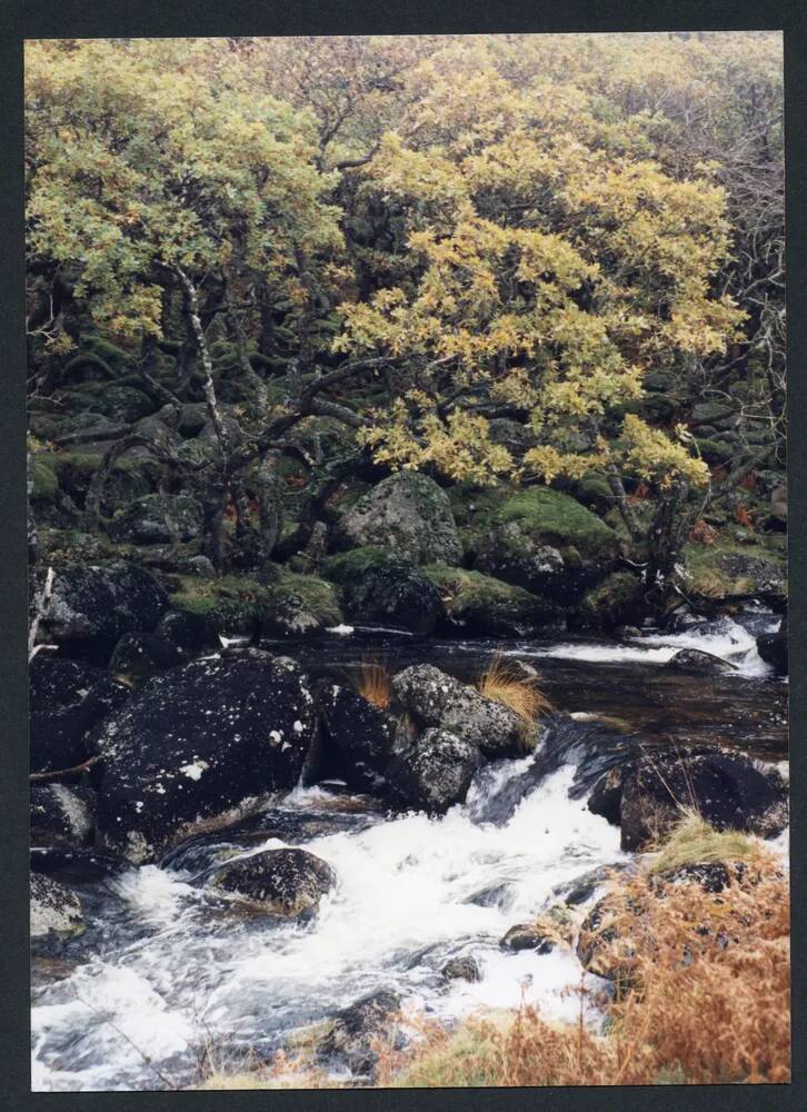 An image from the Dartmoor Trust Archive