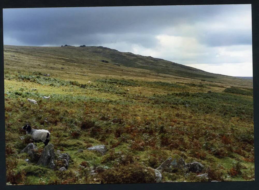 An image from the Dartmoor Trust Archive