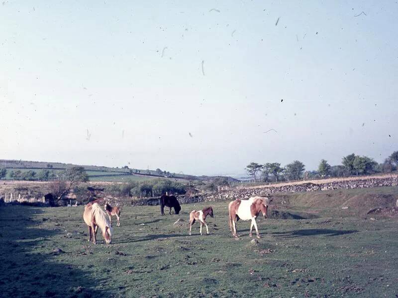 An image from the Dartmoor Trust Archive