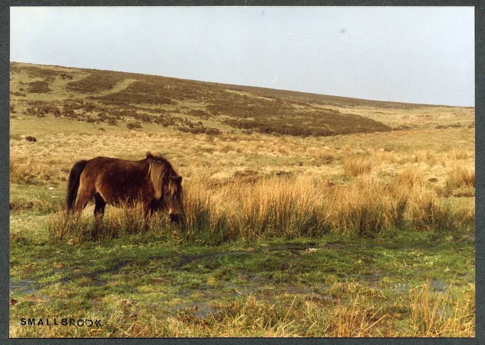 34/19 Smallbrook foot 15/4/1991