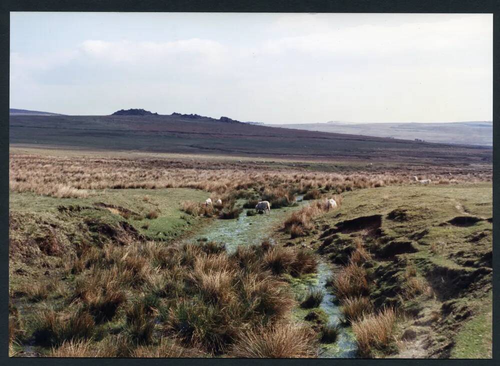 An image from the Dartmoor Trust Archive