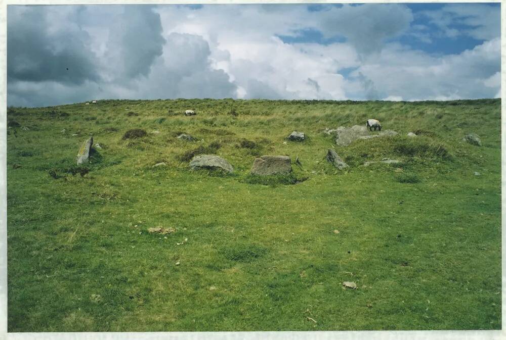 An image from the Dartmoor Trust Archive