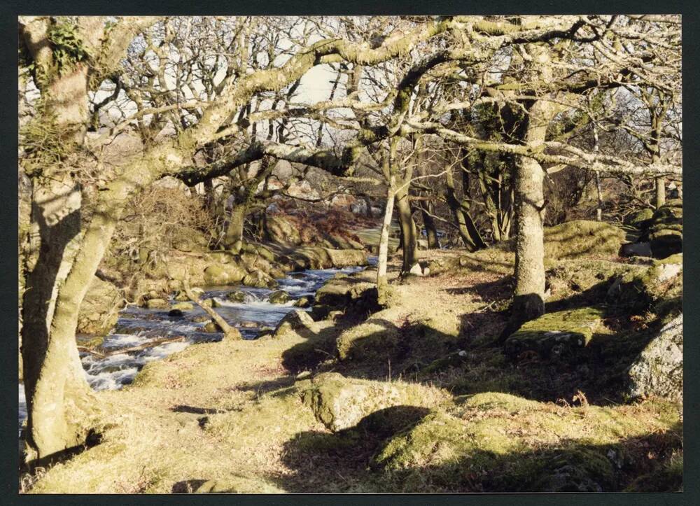 An image from the Dartmoor Trust Archive