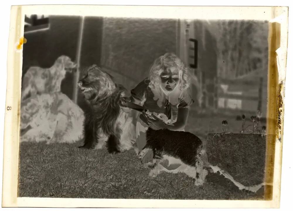 An image from the Dartmoor Trust Archive