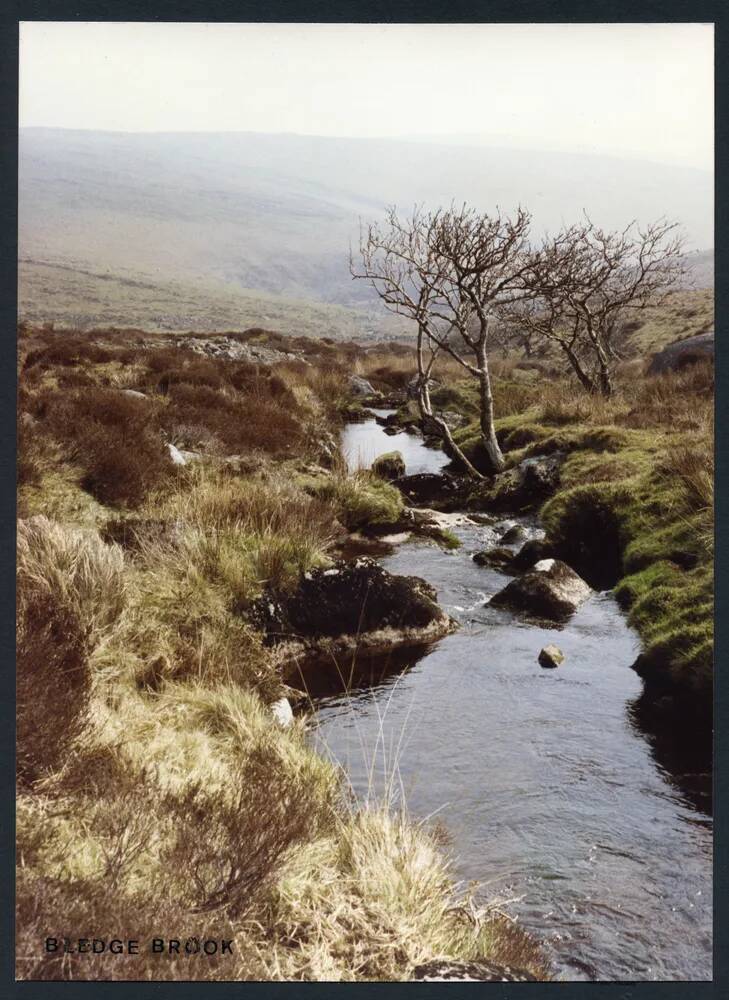 An image from the Dartmoor Trust Archive