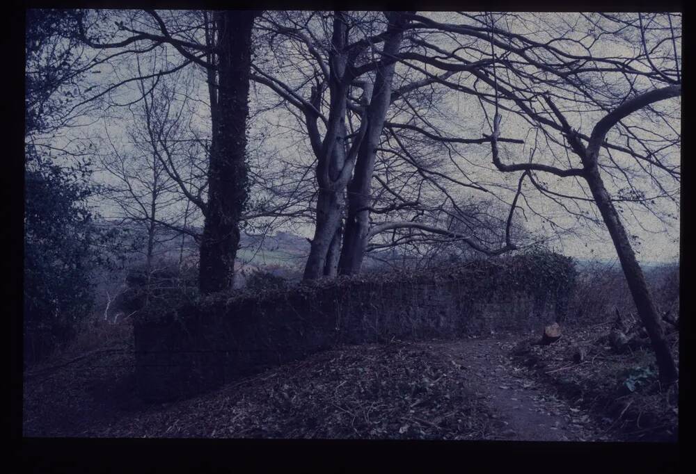 An image from the Dartmoor Trust Archive