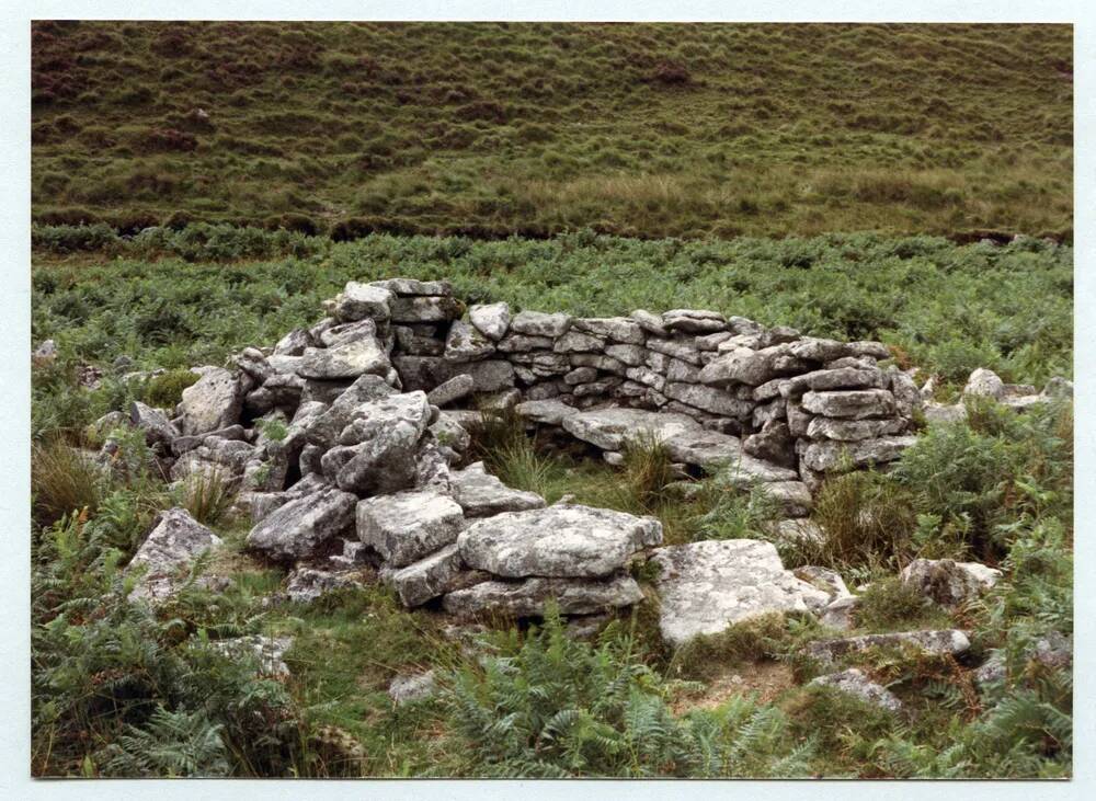 An image from the Dartmoor Trust Archive